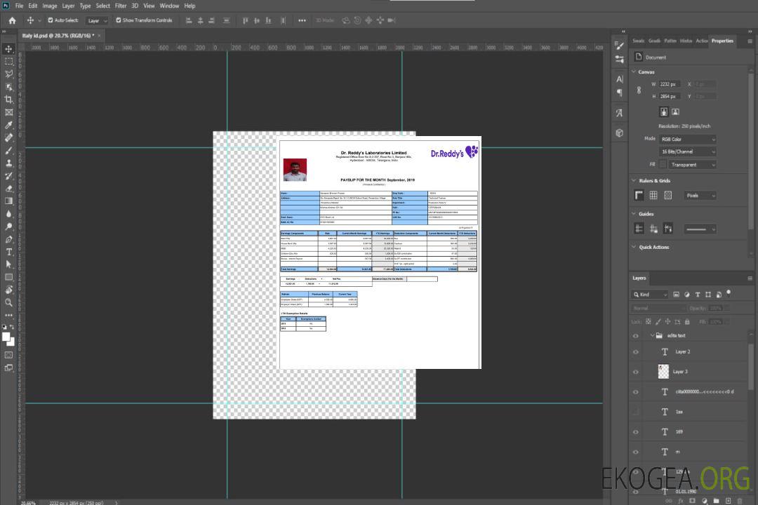 Talon de paie de Dr. Reddy's Laboratories Limited au format PDF et Word template Talon de paie de Dr. Reddy's Laboratories Limited au format PDF et Word template